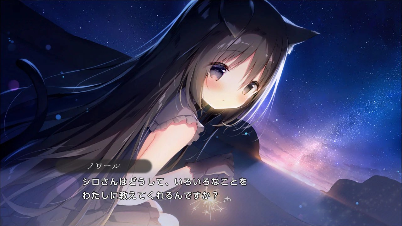 ꡼ No.005 | Nintendo Switch Ŵƻȥι