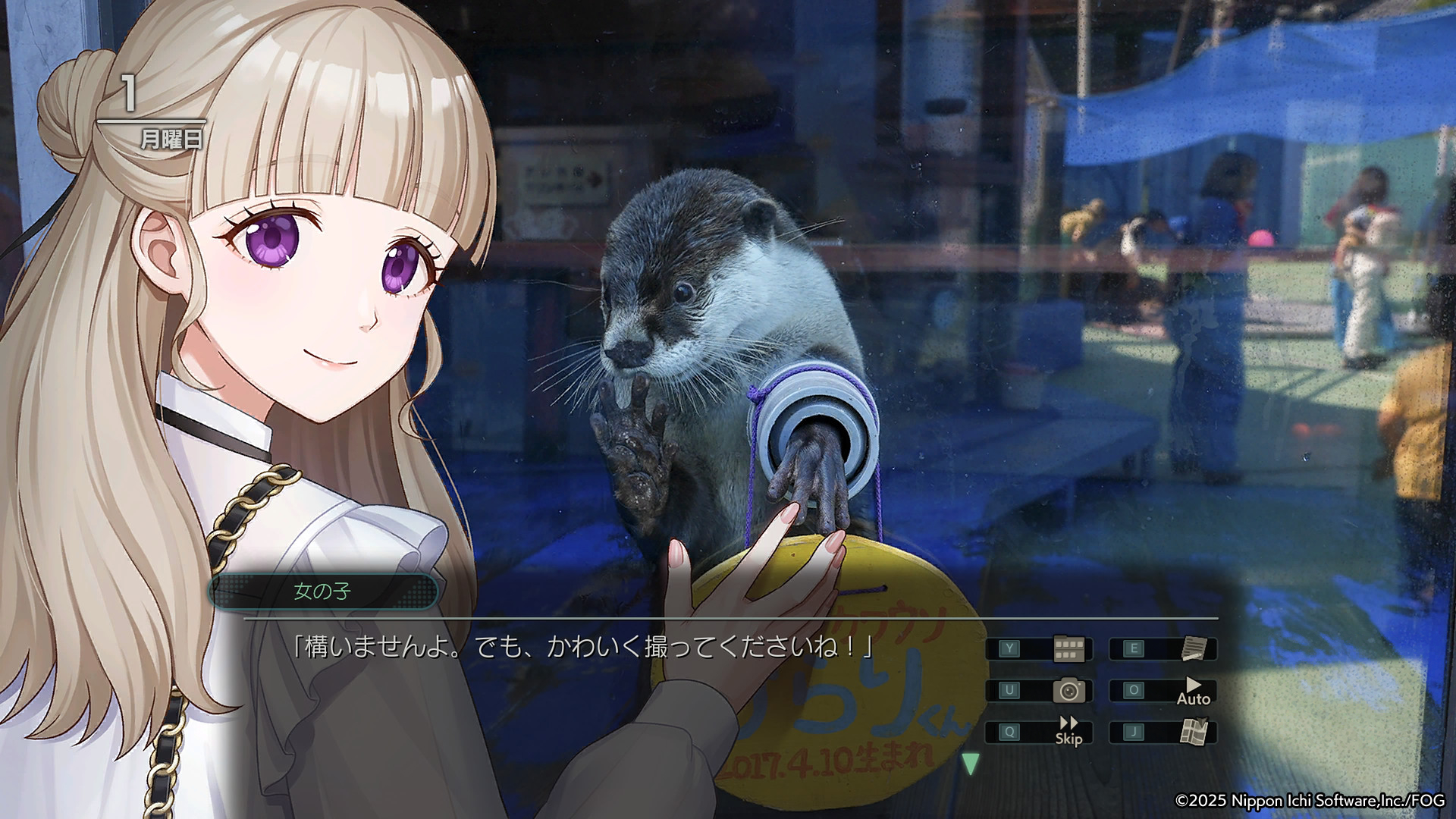 ꡼ No.005 | ŸХǽιADV赭5סPCǤۿϡ100ʾõݥåȡϥϿλҤȤνв񤤤ڤ