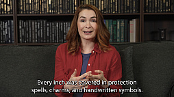 ꡼ No.009 | Nocturnal Whispers