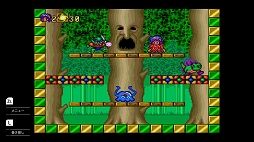 テレネットふくぶくろ