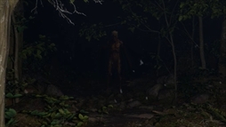 ���������꡼ No.024�Υ���ͥ������ / �롼�����ʤ��顤���Ҥβ��������������;λ����ο����ۥ顼�������̸�β��� Misty Onsen�ס�Steam���ۿ�����