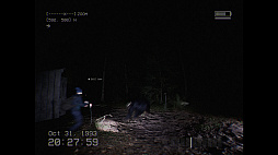 ꡼ No.003 | DON'T SCREAM TOGETHER