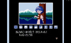 ���������꡼ No.012�Υ���ͥ������ / ����16�ͤǶ��ϲ�ǽ�ʥ��å��󥰥��������֥�åץ륢������ ������ȥ����Υ쥹�ȥ��ס�PC/Switch2�Ǥ��꡼��