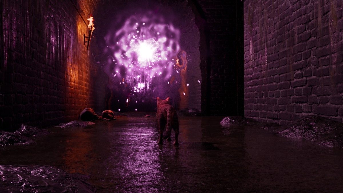 ꡼ No.003 | 1ɤǭȤʤꡤȤκƲܻؤۥ顼ADVMeowmories -meowmare adventure-סSteamȥڡȥƥPV