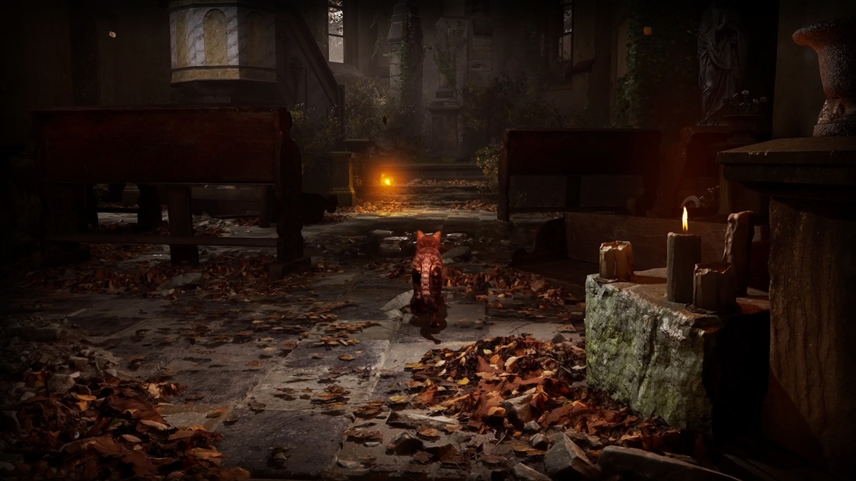 ꡼ No.009 | 1ɤǭȤʤꡤȤκƲܻؤۥ顼ADVMeowmories -meowmare adventure-סSteamȥڡȥƥPV