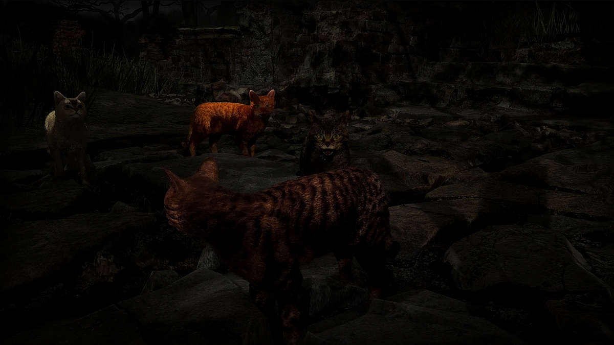 ꡼ No.006 | PC Meowmories -meowmare adventure-