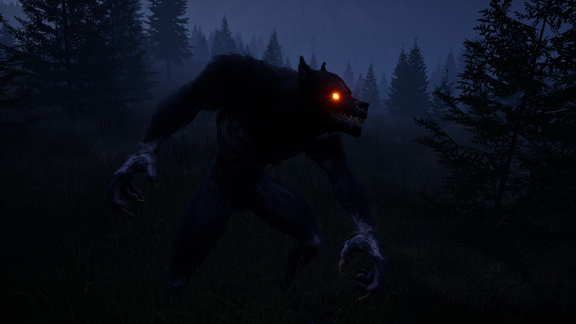 ꡼ No.011 | PC WOLFMAN