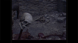 ���blis3:Phenomena