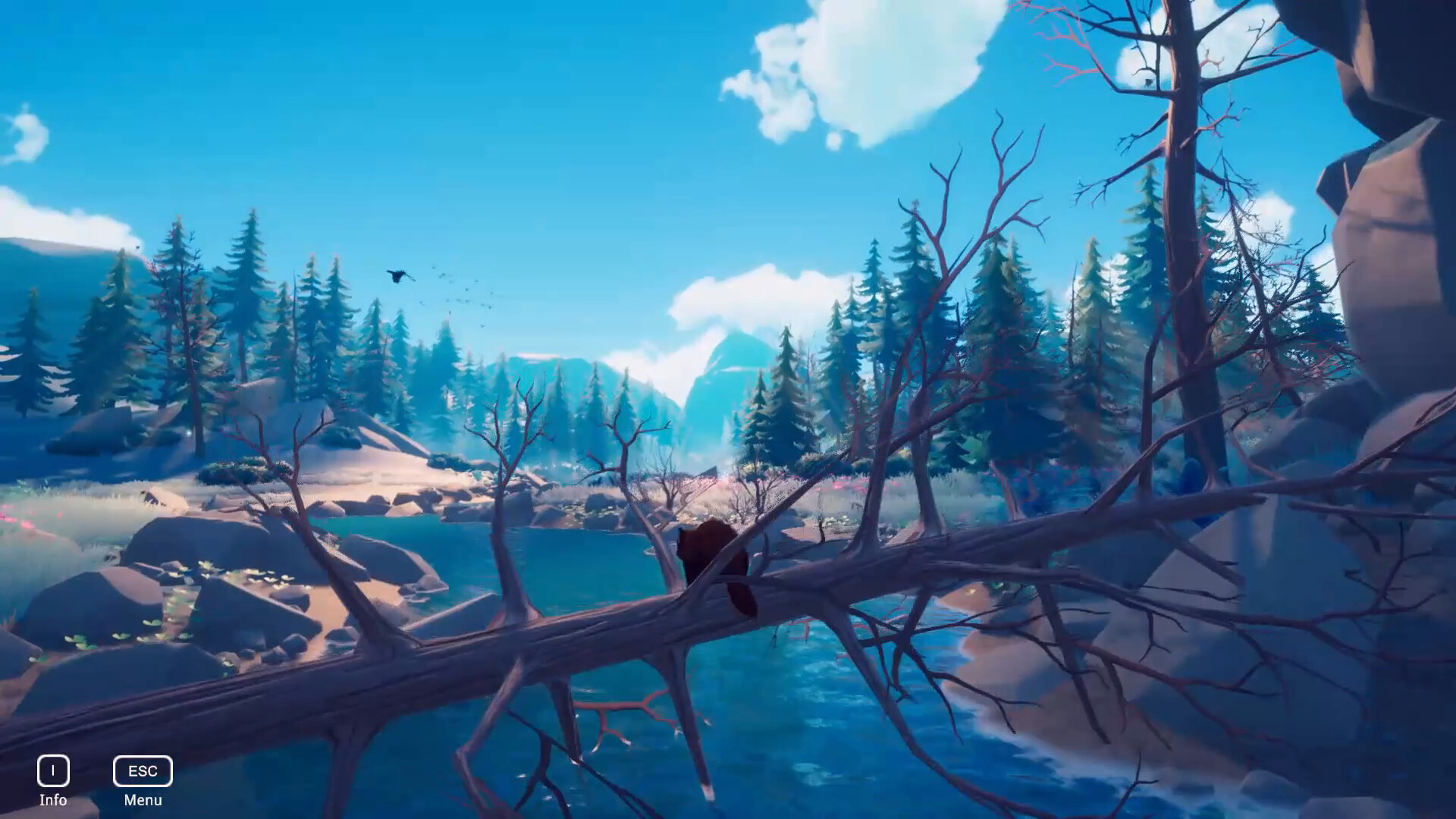 ꡼ No.012 | PC Red Panda: The Quiet Path