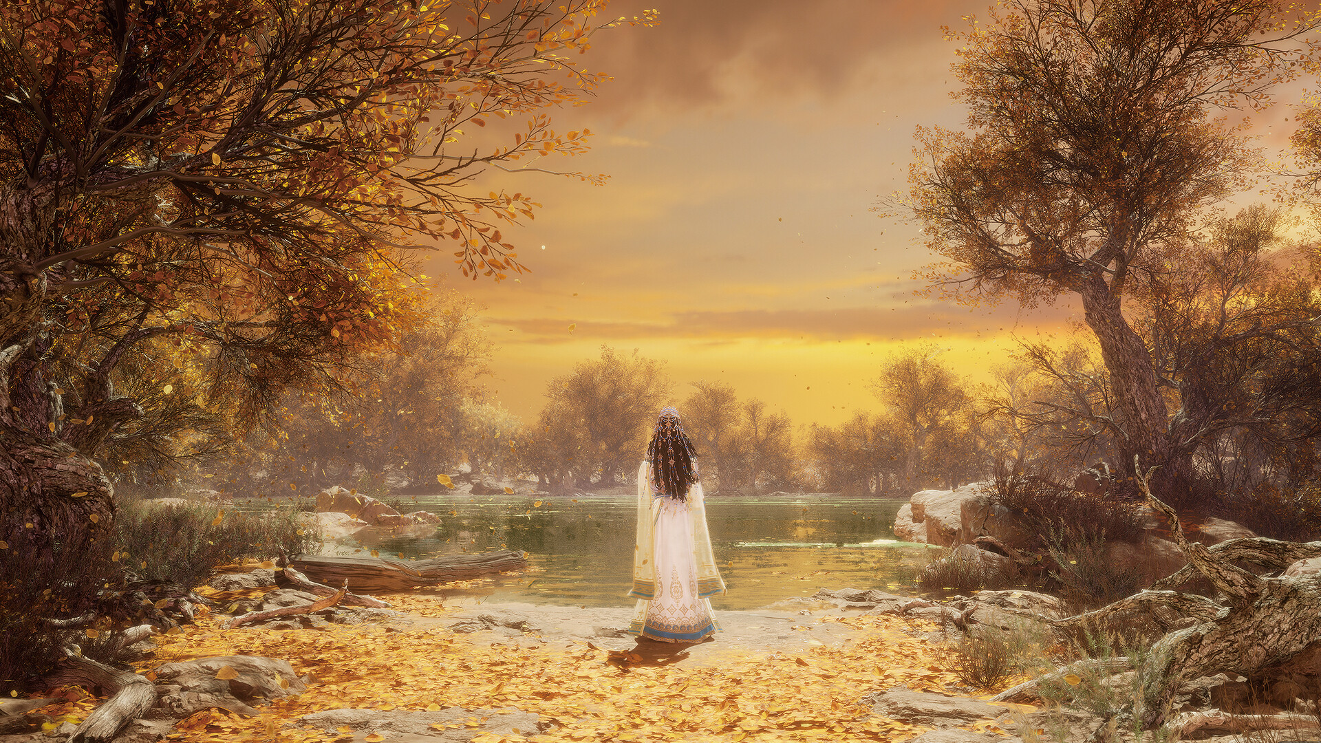 ꡼ No.006 | PS5 ϰκ