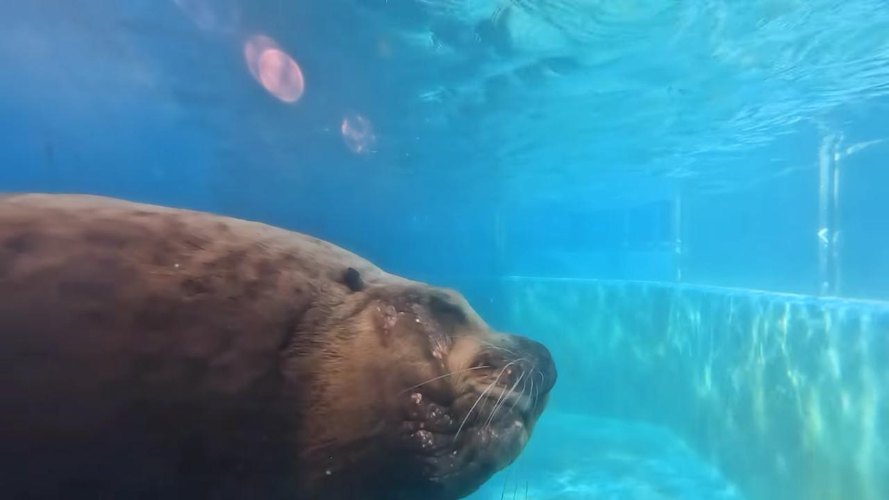 ꡼ No.008 | 饷䥿ĥΥȥ򹥤ʤѻǤ롣ΰ饲֤ĤǤѥ Υο²ۿ޴աSwitch1120ȯ