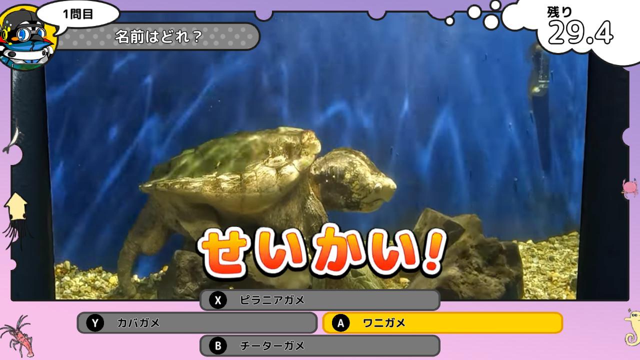 ꡼ No.010 | 饷䥿ĥΥȥ򹥤ʤѻǤ롣ΰ饲֤ĤǤѥ Υο²ۿ޴աSwitch1120ȯ