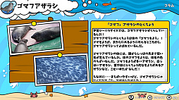 ���������꡼ No.007�Υ���ͥ������ / �֤��ĤǤ���������ѥ����������Υ�������ο�²�ۿ޴աס�����ȯ�䡣����ʪ�������²�ۤˤĤ��Ƴؤ٤륲����