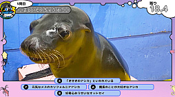 ���������꡼ No.008�Υ���ͥ������ / �֤��ĤǤ���������ѥ����������Υ�������ο�²�ۿ޴աס�����ȯ�䡣����ʪ�������²�ۤˤĤ��Ƴؤ٤륲����