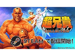 PCǡĶCOLLECTIONסSteamۿϡ꡼1ܤ2ܤܿɥ⡼ɤ䴬ᤷǽʤɤ
