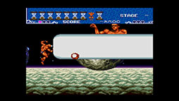 Ķ����COLLECTION