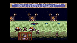 Ķ����COLLECTION