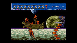 Ķ����COLLECTION