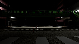 ���ǰ�ƻ-The Crosswalk Anomaly