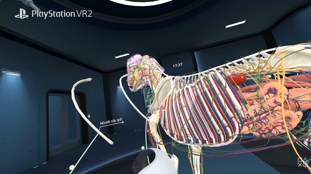 ꡼ No.001 | VR˶إץAnimal AnatomyסPS VR2Meta Quest˥꡼٤˺Ƹ줿ǥǡưʪΤ꿼Τ