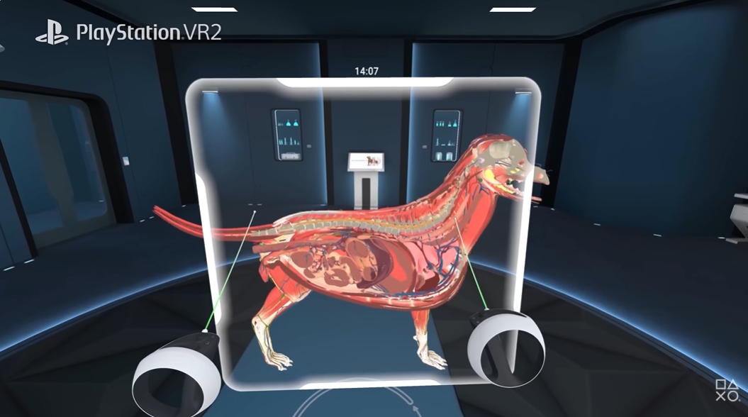 ꡼ No.002 | VR˶إץAnimal AnatomyסPS VR2Meta Quest˥꡼٤˺Ƹ줿ǥǡưʪΤ꿼Τ