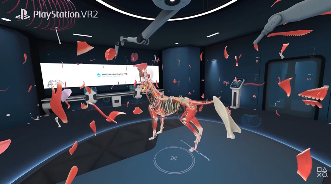 ꡼ No.003 | VR˶إץAnimal AnatomyסPS VR2Meta Quest˥꡼٤˺Ƹ줿ǥǡưʪΤ꿼Τ