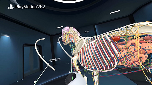 ���������꡼ No.001�Υ���ͥ������ / VR��˶�إ��ץ��Animal Anatomy�ס�PS VR2��Meta Quest�����˥�꡼�������٤˺Ƹ����줿��ǥ�ǡ�ưʪ���Τ��꿼���Τ�