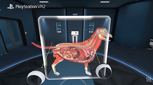 ���������꡼ No.002�Υ���ͥ������ / VR��˶�إ��ץ��Animal Anatomy�ס�PS VR2��Meta Quest�����˥�꡼�������٤˺Ƹ����줿��ǥ�ǡ�ưʪ���Τ��꿼���Τ�