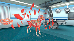 Animal Anatomy VR