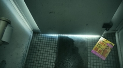 ���������꡼ No.002�Υ���ͥ������ / ��̯�����ä˵����˸������4�Ĥ�ʪ�줬�ڤ����ۥ顼ADV�ֲ����ֹ��20�ߡߡʥˡ��ޥ�ХĥХġˡ��ס�Steam���ȥ��ڡ��������