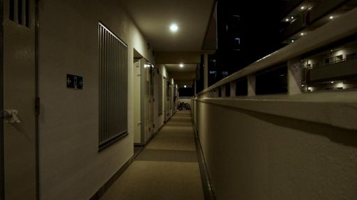 ���������꡼ No.006�Υ���ͥ������ / ��̯�����ä˵����˸������4�Ĥ�ʪ�줬�ڤ����ۥ顼ADV�ֲ����ֹ��20�ߡߡʥˡ��ޥ�ХĥХġˡ��ס�Steam���ȥ��ڡ��������