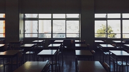 ���������꡼ No.007�Υ���ͥ������ / ��̯�����ä˵����˸������4�Ĥ�ʪ�줬�ڤ����ۥ顼ADV�ֲ����ֹ��20�ߡߡʥˡ��ޥ�ХĥХġˡ��ס�Steam���ȥ��ڡ��������