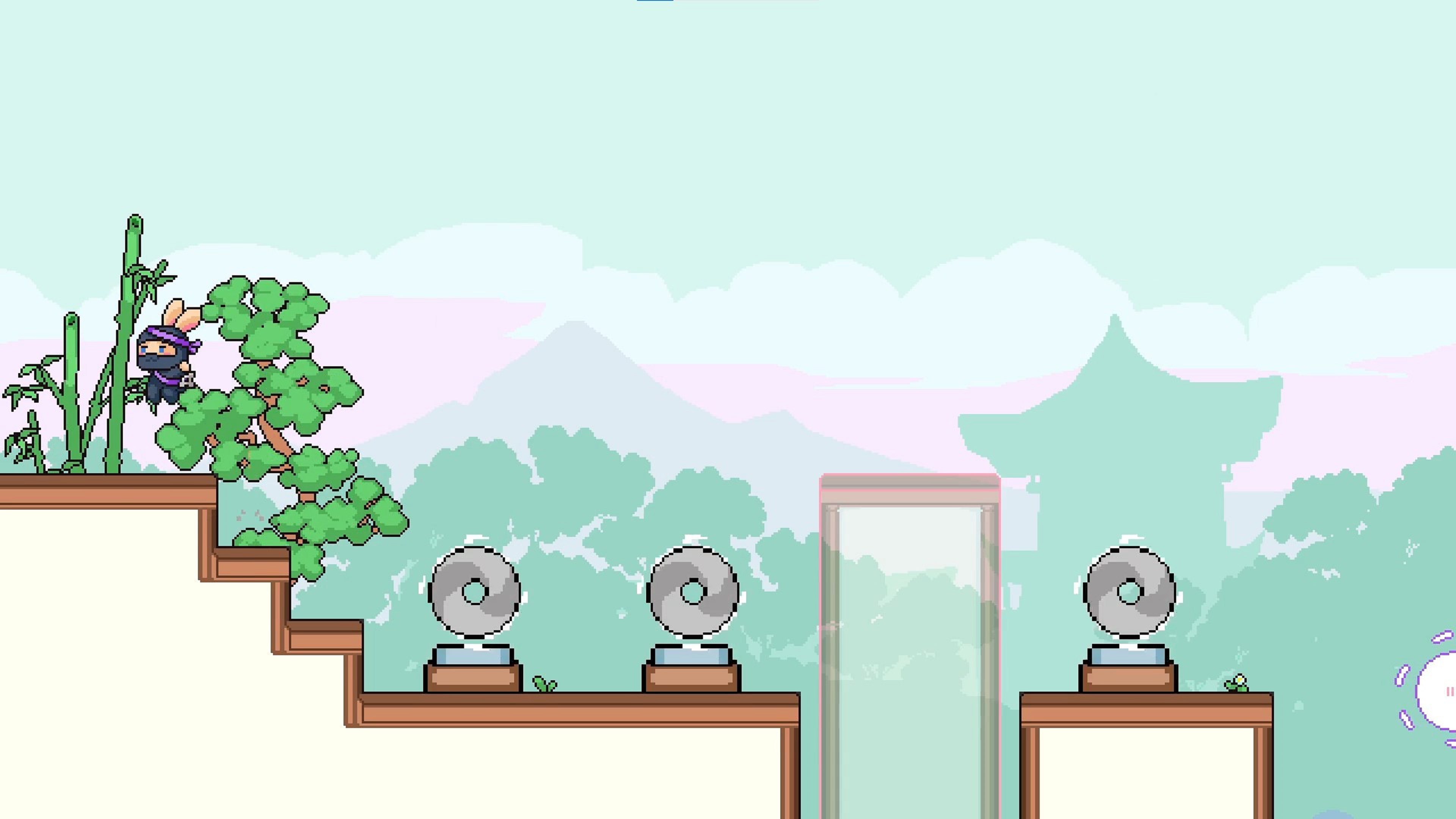 ꡼ No.004 | Xbox Series X|S Bunninjutsu