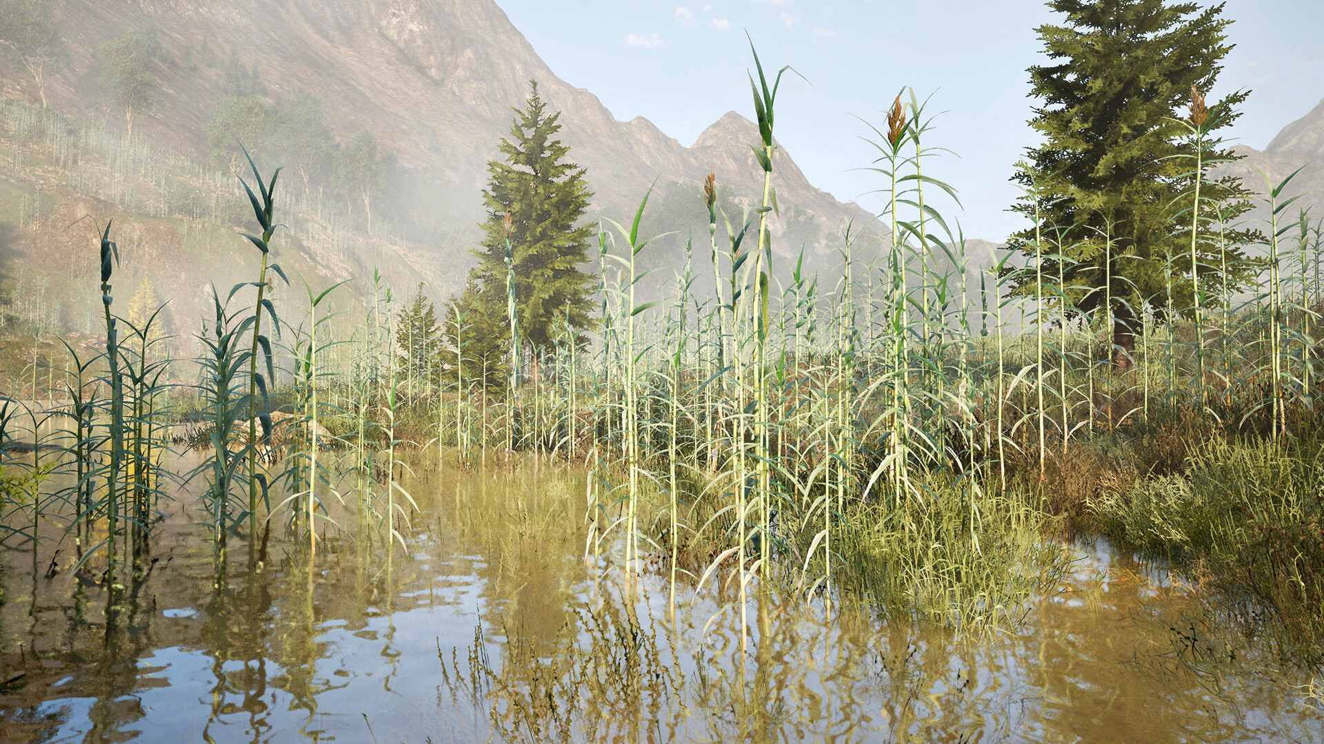 ꡼ No.012 | PC The Valley Beyond