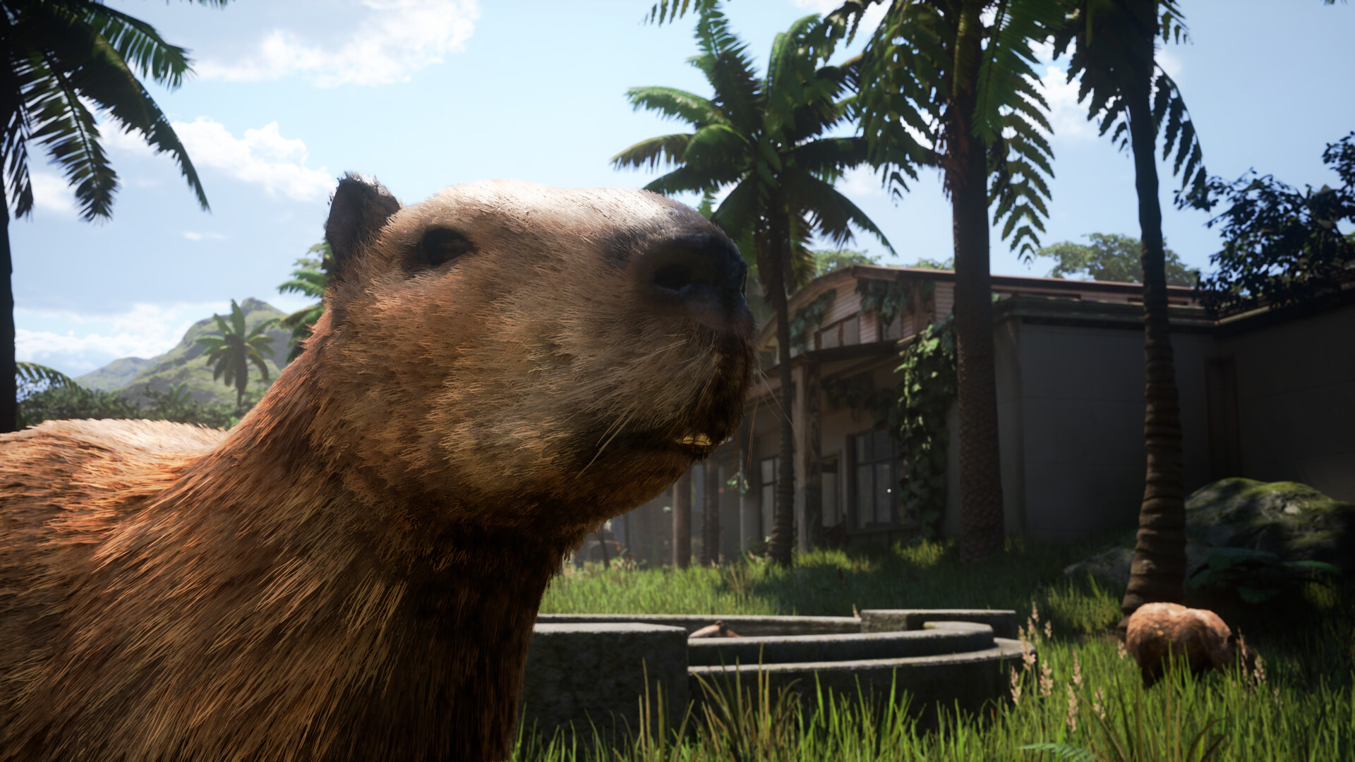 ꡼ No.007 | ǴؿȤơˡ͢͢ФΤʪޤ졣Airport Contrabandסǿȥ쥤顼