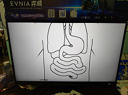 ���������꡼ No.018�Υ���ͥ������ / ��̯�����������ʤΤˡ��ʤ������뤤���������ȥ�ꥢ�Τ���ä��Ѥ����֥�����֥ƥ��󥰥����������ס�WePlay2025��