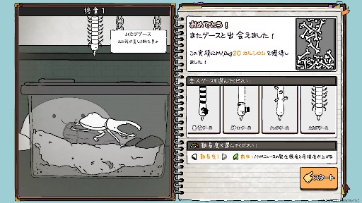 ���������꡼ No.020�Υ���ͥ������ / ��̯�ʥ��������������䤵������֥���å����֥ƥ��󥰥����������ס�PC�Ǥ�������꡼�����㤤�ڤ��ǤȤ����о�