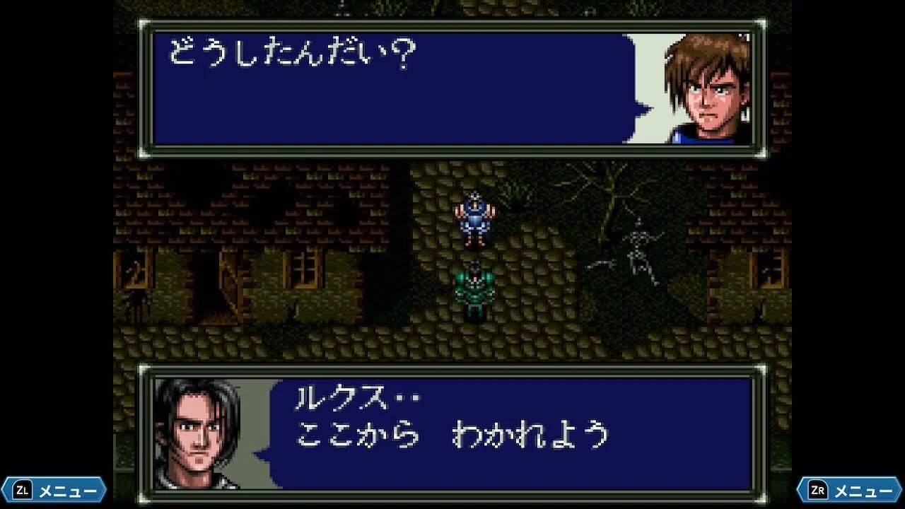 ꡼ No.005 | Nintendo Switch 󥰥