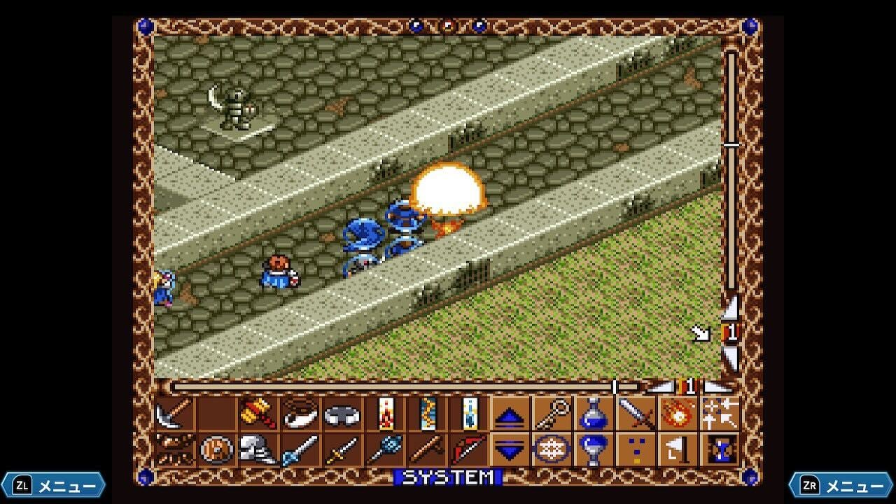 ꡼ No.006 | Nintendo Switch 첦 ʪȤ