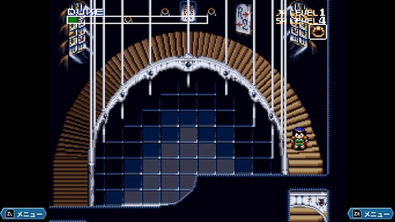 ꡼ No.005 | Nintendo Switch Υθư