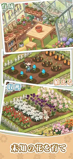 サンシャイン牧場2