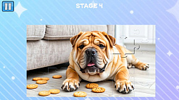 �֤���ѥ���