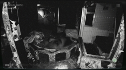 ���������꡼ No.010�Υ���ͥ������ / �����ܻ���ʪ��ƻ붨��2 -Japan Stigmatized Property-�ס�Steam���ȥ��ڡ����������ȯ������۾����������𤹤�ƻ��̳�˽�������