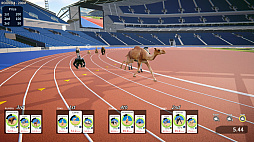 Animal Run Relay
