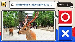 ꡼ No.004 | ¥˥åݥ󡪤ϾＱߥvsܡ2Ǥ󤿤󻨳ضƦμؽȥӥ