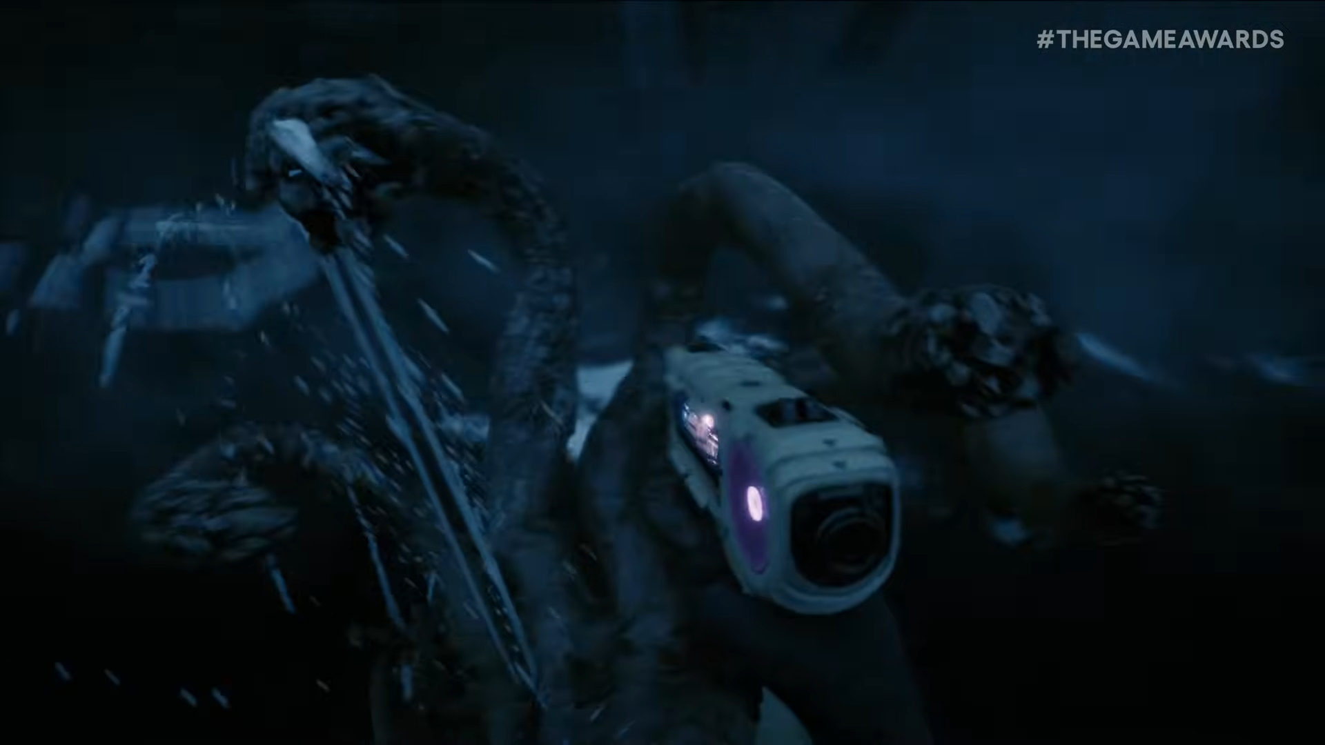 ꡼ No.003 | ۥ顼ХХForestץ꡼3Ƥ̤Τˡʥ󥹥ȥ쥤顼