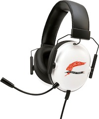 画像ギャラリー No.006のサムネイル画像 / 「ACE COMBAT 8: WINGS OF THEVE」本日発売。伝説のエース“シーヴの翼”の名を背負い，奪われた祖国の空を取り戻せ