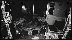 画像ギャラリー No.002のサムネイル画像 / 「日本事故物件監視協会2 -JSP2-」iOS / Android版の配信を開始。実在する事故物件の監視作業を行うホラーゲーム