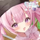 �ѥå�����