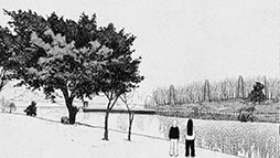 ���������꡼ No.006�Υ���ͥ������ / ���ι⹻������ˤ���PC�����ӥ��奢��Υ٥�ֻ�βȡ�Sweet Home�ˡס����ܸ��Ǥ�������餫�ˡ�2026ǯ����ۿ�ͽ��